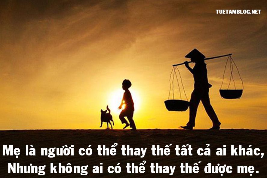 soi cầu miền bắc