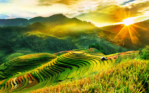 soi cầu Huế