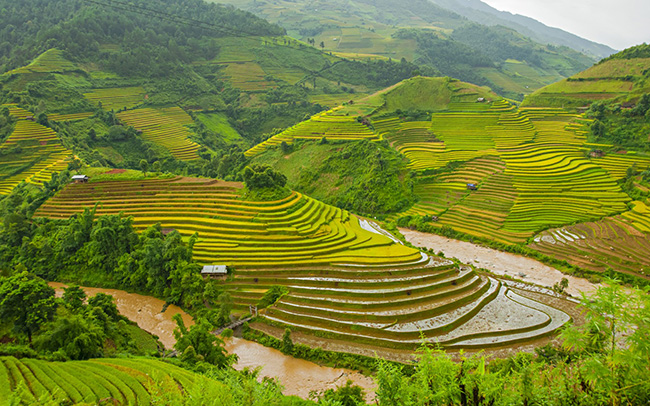 soi cầu Quảng Trị