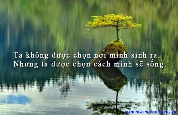 soi cầu Miền Bắc
