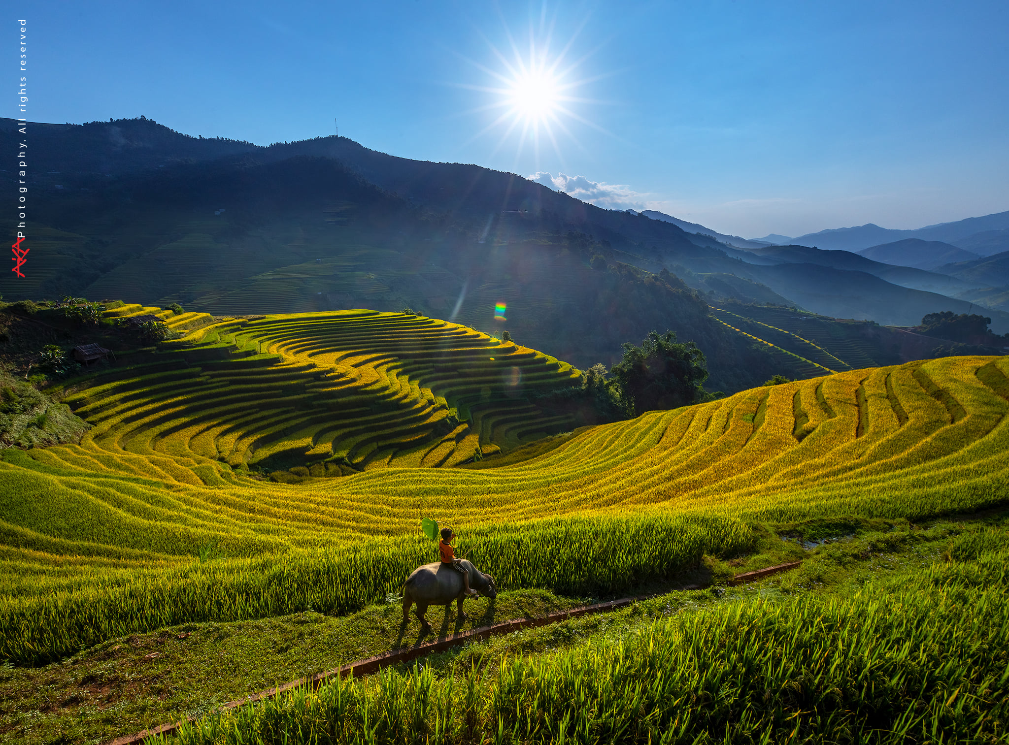 soi cầu Đà Lạt