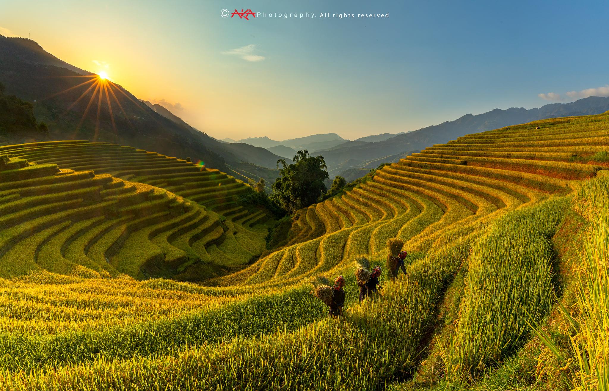soi cầu Miền Bắc
