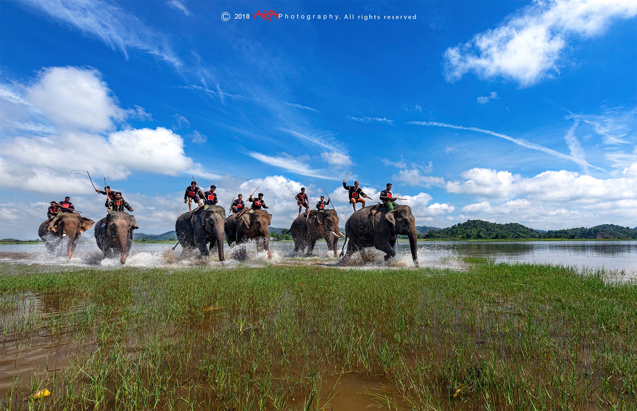 soi cầu Đắc Nông