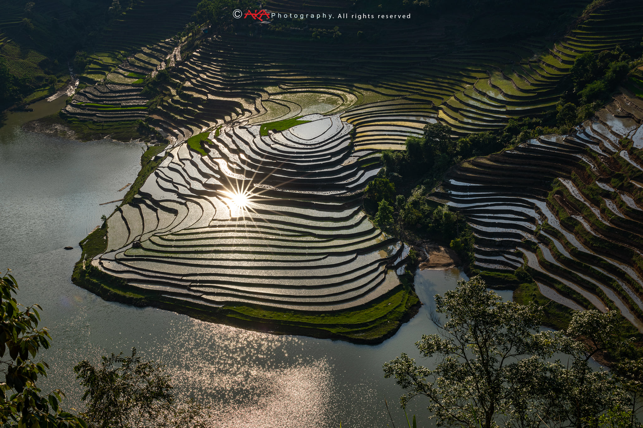 soi cầu Bình Dương