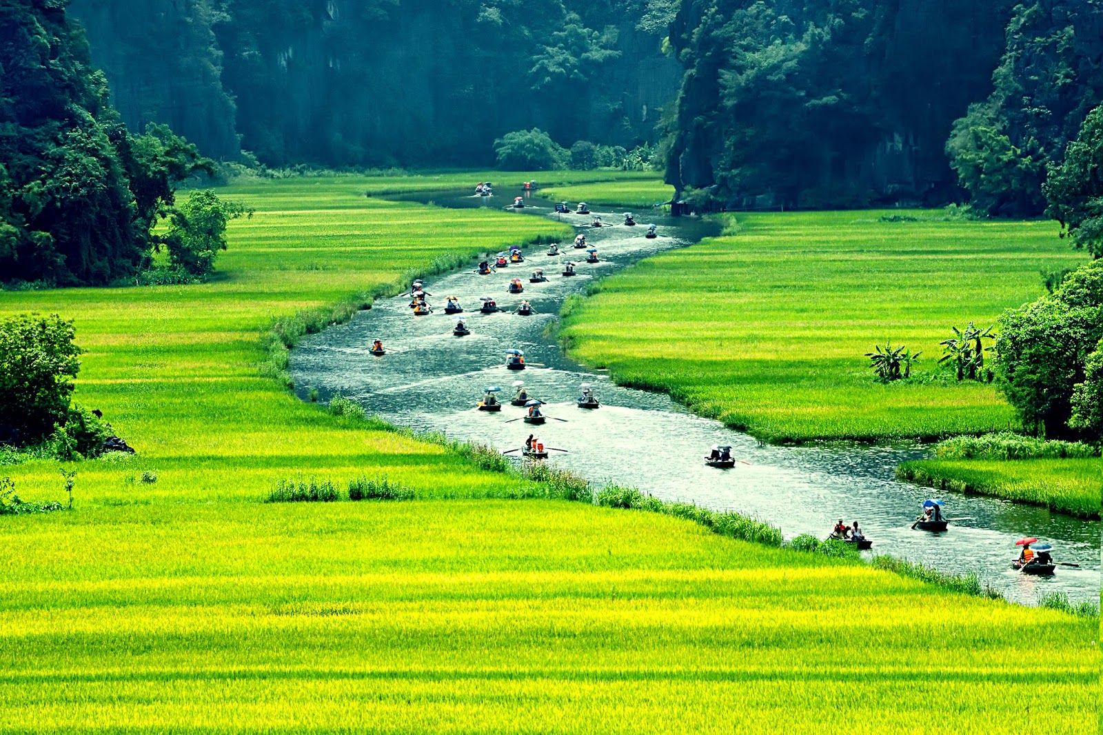 soi cầu Đồng Nai